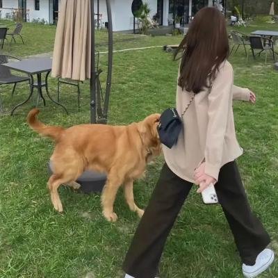 香车艳尸